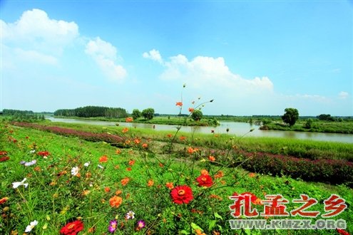 鱼台风光