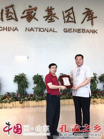 曲阜孔子文化学院与华大基因建立战略合作关系