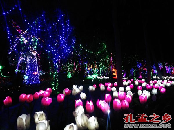 曲阜陵城海棠小镇