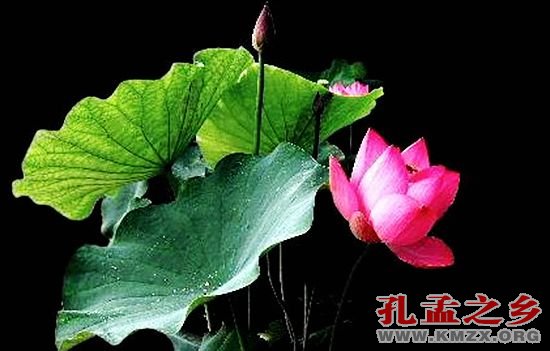 人性本善