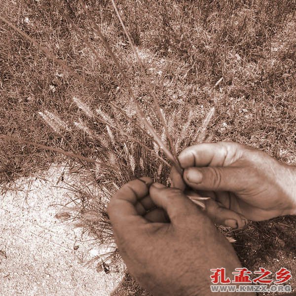 编蓑衣