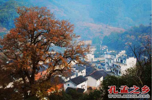 刘树启摄影