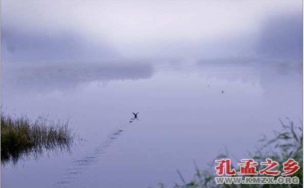 宋江湖