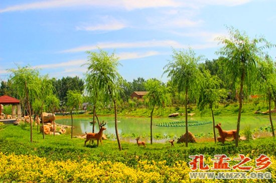 兖州旅游