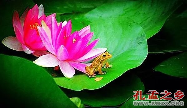 韩复渠的打油诗