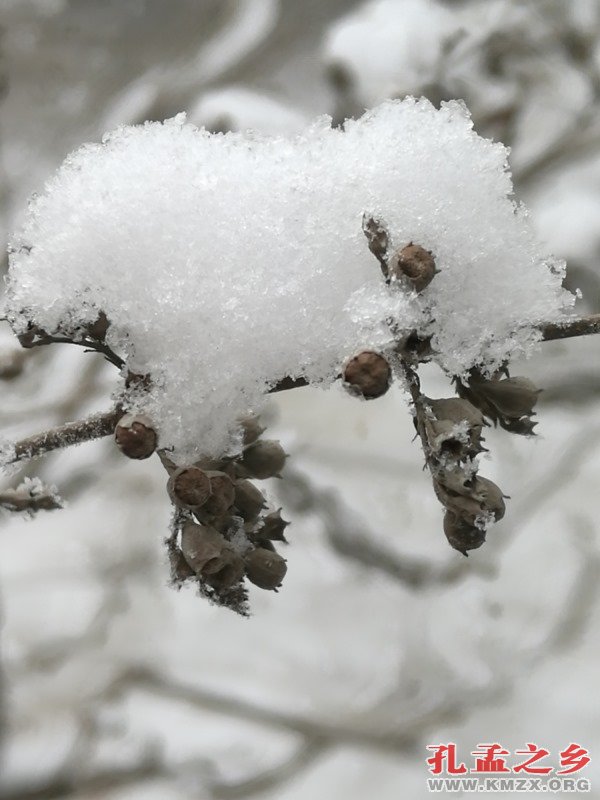 雪后山行