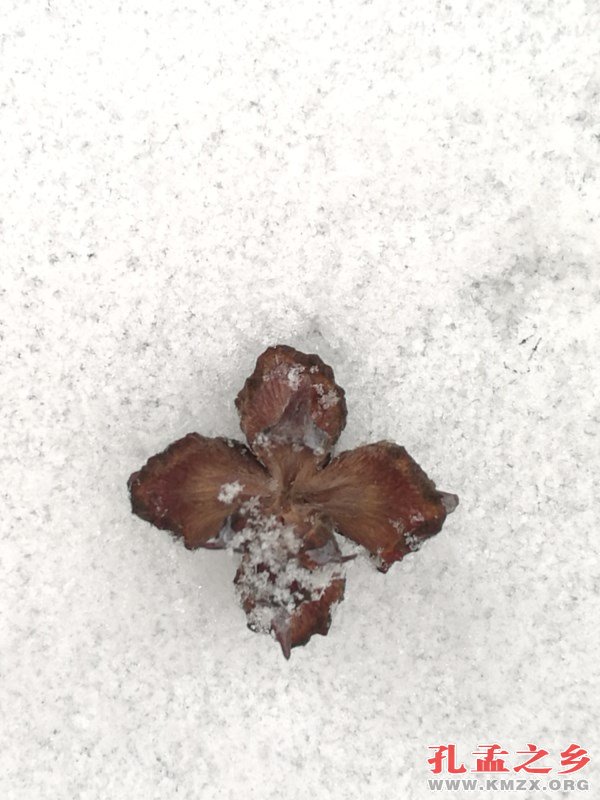 雪后梁山行