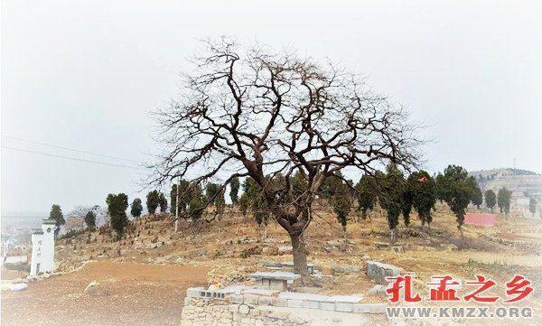 隋庄村