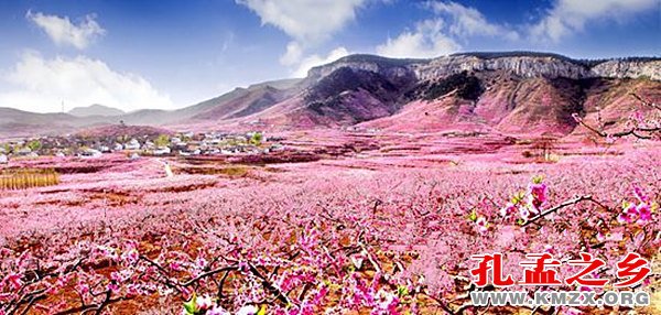 蒙阴桃花节