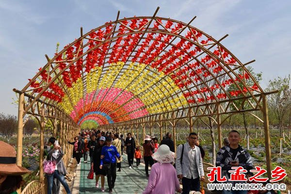 济宁牡丹文化旅游节