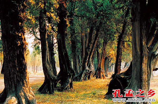 孟子、孟母：书写“子圣母功”的历史传奇