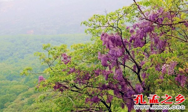 凤仙山