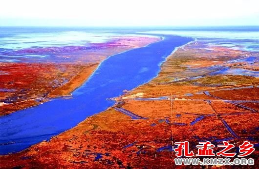黄河入海