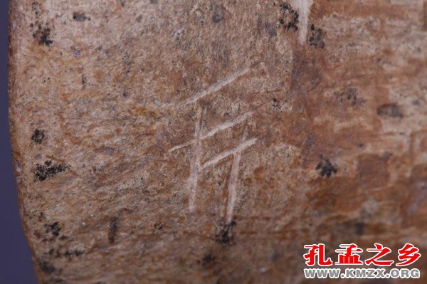 济宁出土甲骨文