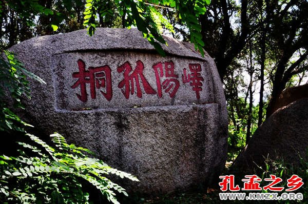 峄阳孤桐
