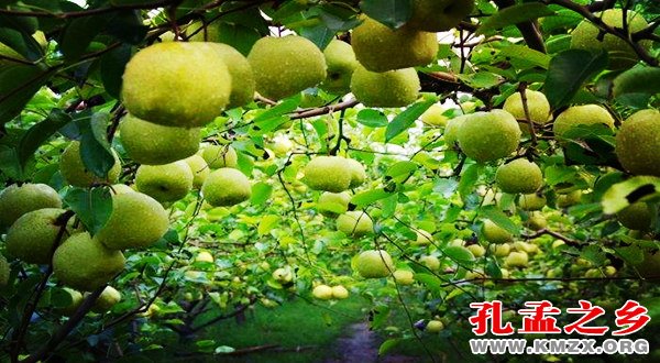 八零后的食物史