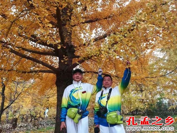 徒步古薛城，踏歌赏银杏
