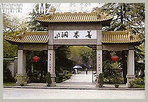 图片点击可在新窗口打开查看