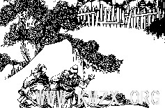 ccls-13.gif (3608 bytes)