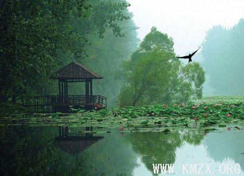 静谧的微山湖