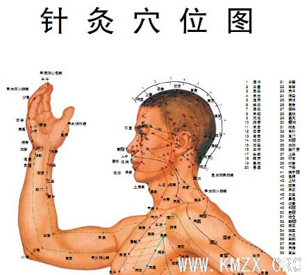 针灸穴位图
