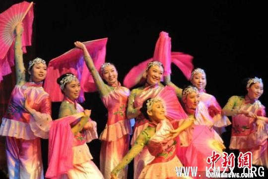 “亲情中华”艺术团卡尔斯鲁厄献艺德国之旅谢幕