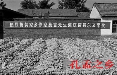 莫言家乡拟投6.7亿弘扬红高粱文化 官民均亢奋