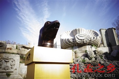 2012年10月30日，放在海晏堂前的蛇首道具。