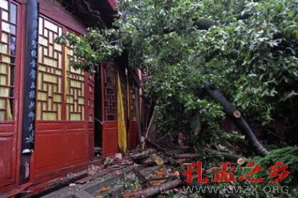 千年学府岳麓书院大成殿被古树压倒致一死两伤