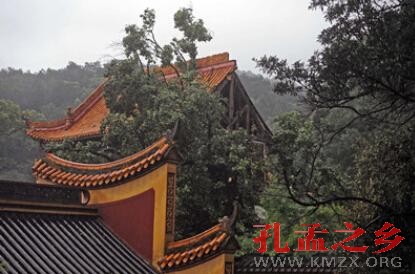 千年学府岳麓书院大成殿被古树压倒致一死两伤