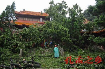 千年学府岳麓书院大成殿被古树压倒致一死两伤