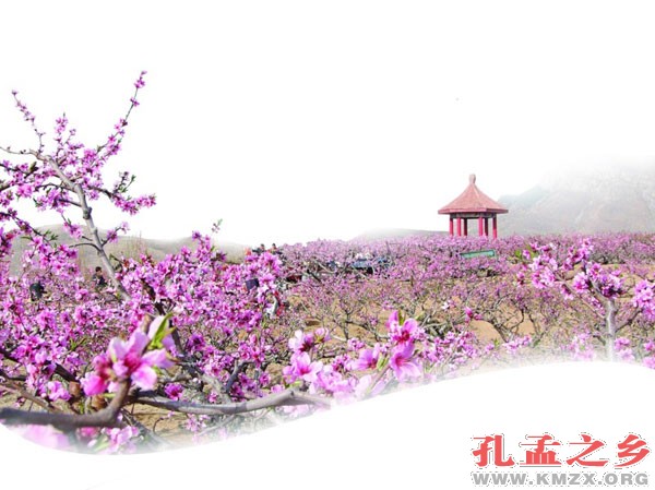 泗水桃花