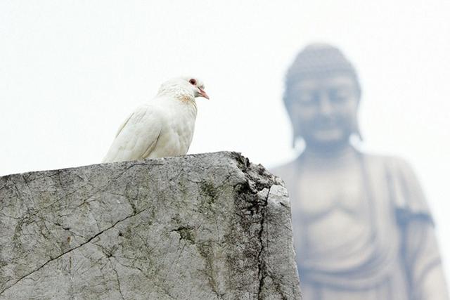 学诚法师：如何落实佛教的和平观于今日世界