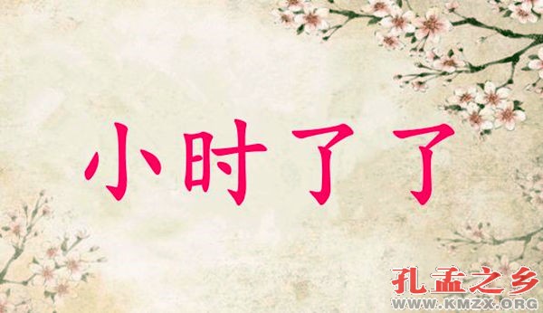 小时了了
